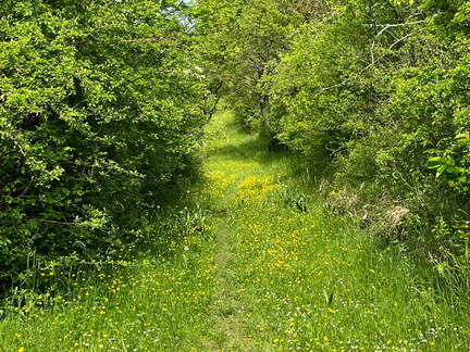 22-05-08 11-38-42 0770